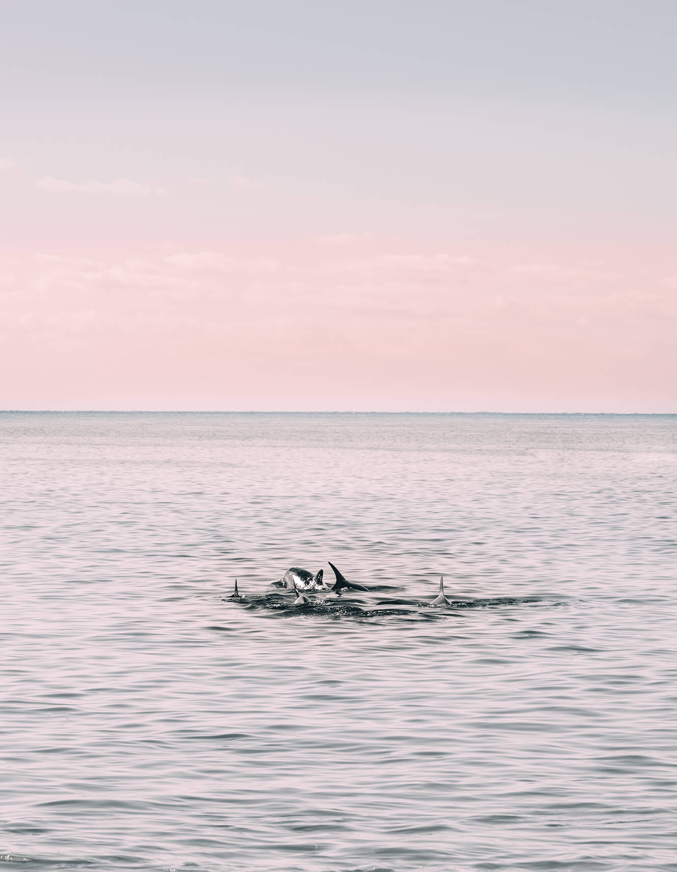 Entre dos mares_Párrafo