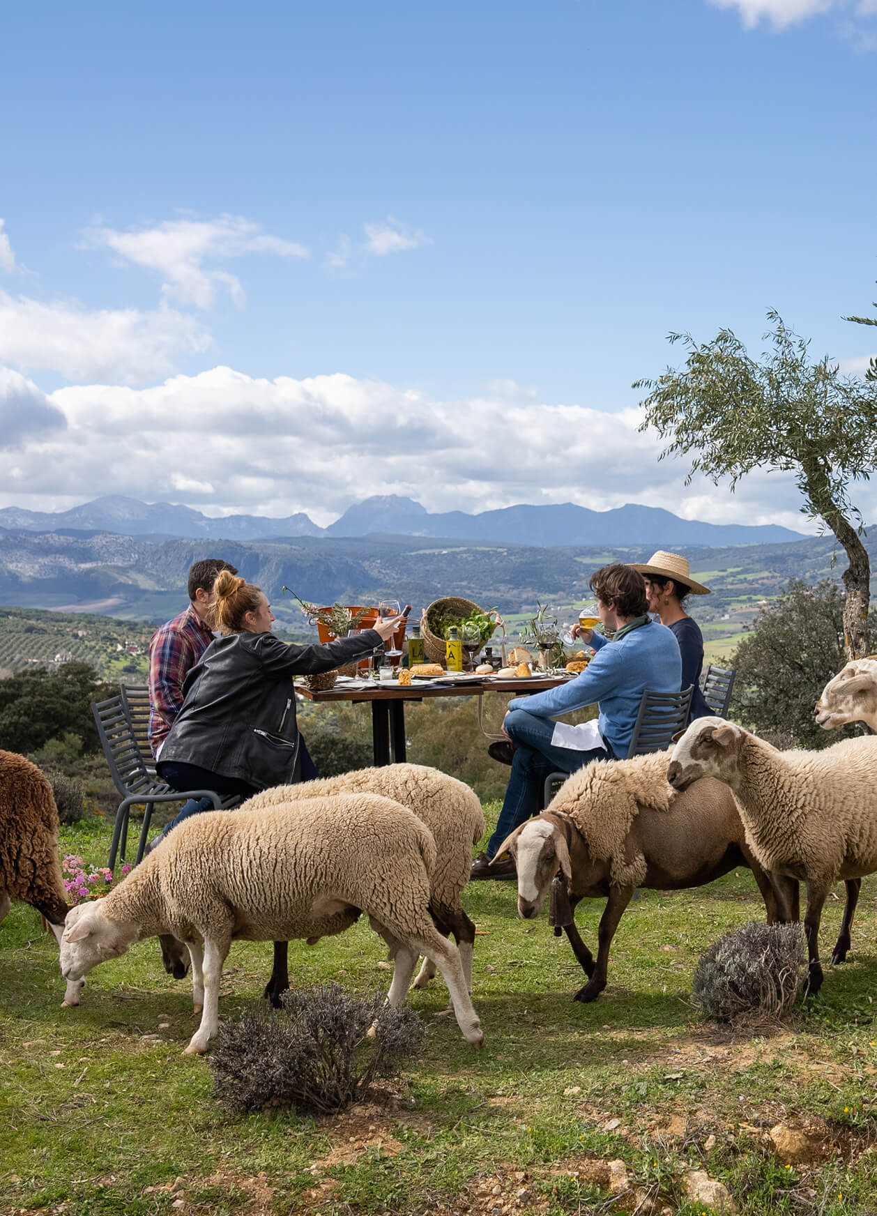 La Almazara de autor_Párrafo